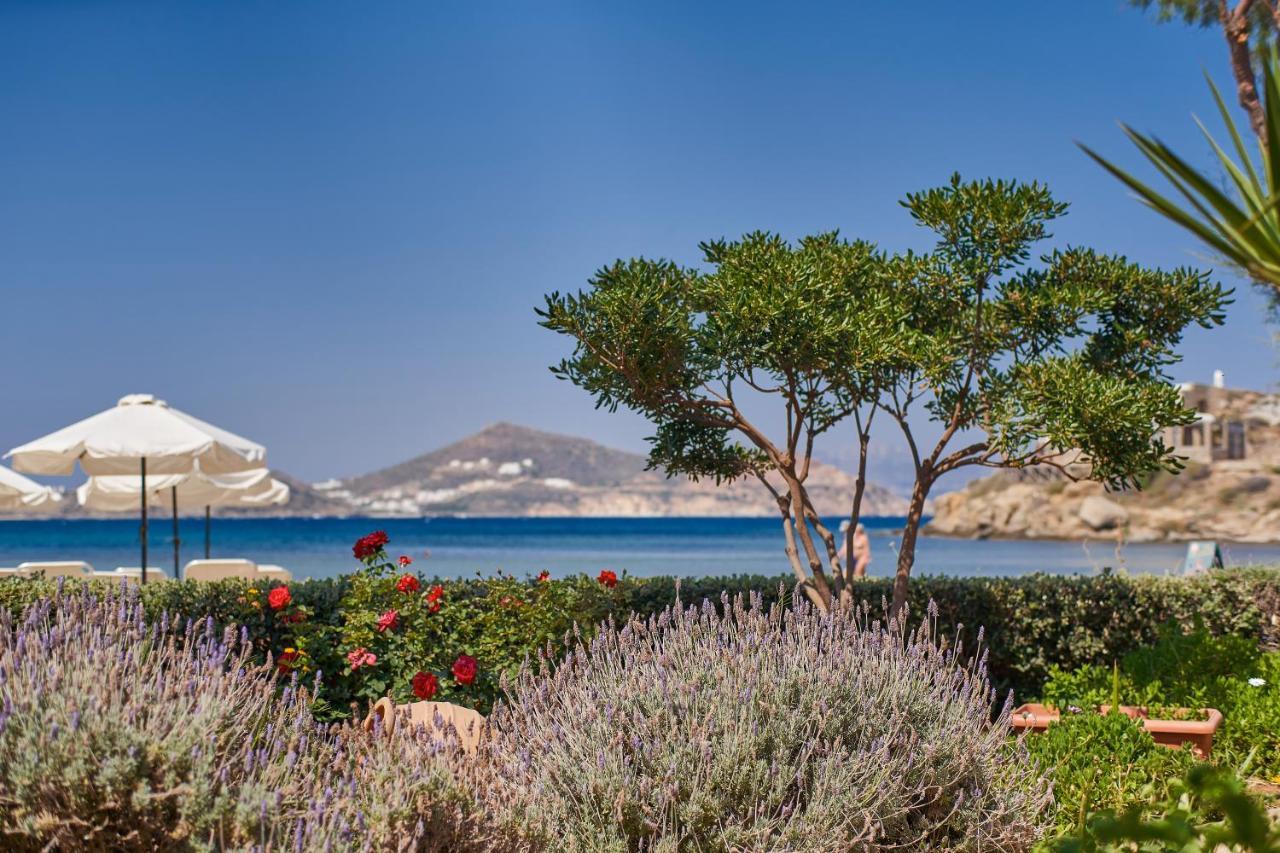 Kalergis Studios Naxos City Экстерьер фото
